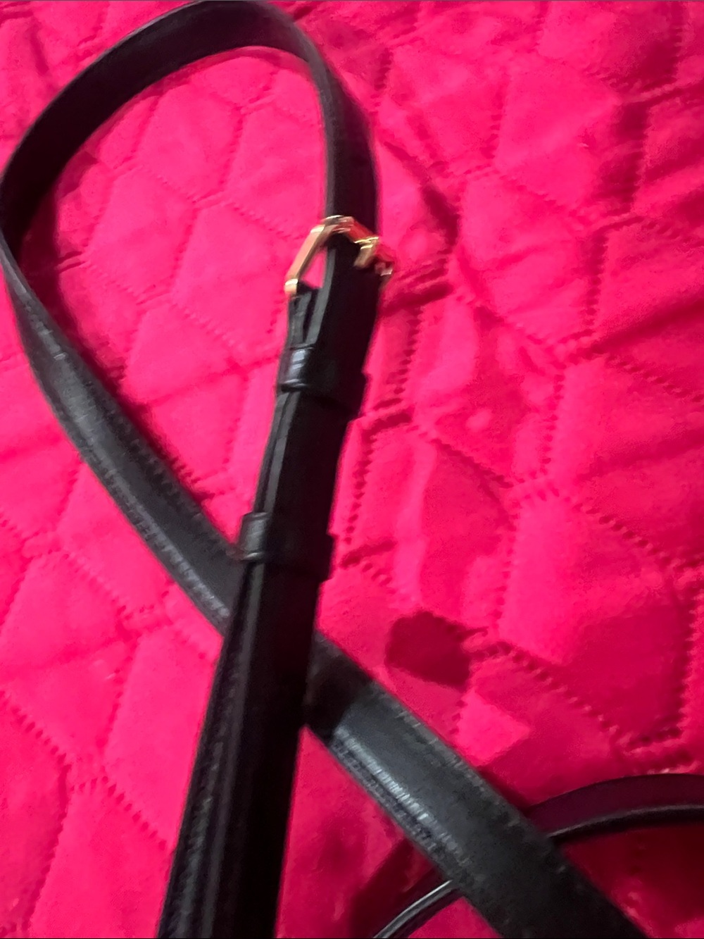 Coach Brown Signature Canvas Crossbody Tote with Gold Hardware - Picture 13 of 14